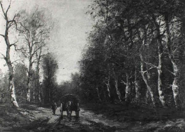 Holzfuhrwerk Auf Dem Waldweg - view 1