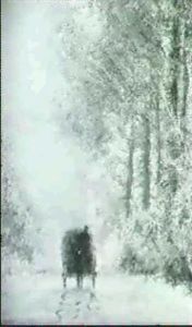 Pferdefuhrwerk Im Winterwald.