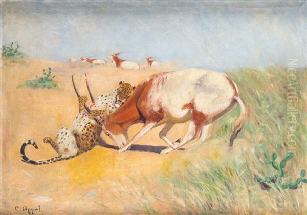Gephard Und Antilope - view 1
