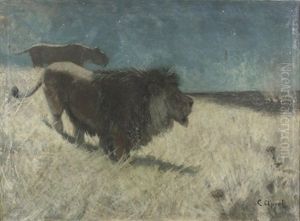 Abendliche Steppenlandschaft Mit Lowen Abendliche Steppenlandschaft Mit Lowen