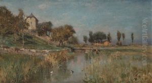 Dans Les Marais Du Bouveret A Dijon Dans Les Marais Du Bouveret A Dijon