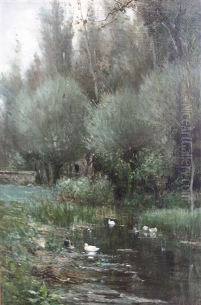 L'etang Aux Canards - view 1