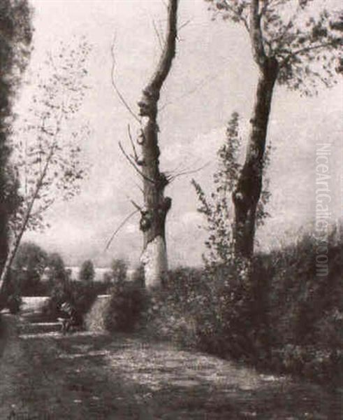 Sonnige Fruhlingslandschaft - view 1