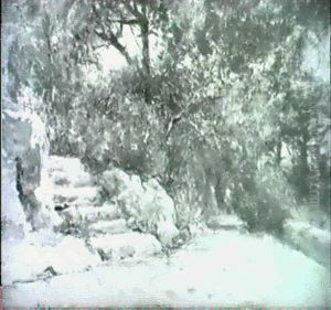 A Park In Nice by Adolphe Appian
