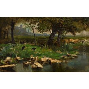 Uferpartie Mit Moorhuhnern