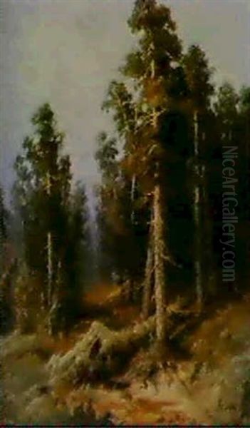Forest Grove - view 1