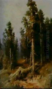Forest Grove Forest Grove