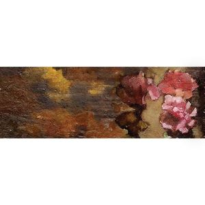 Flores by Joaquin Araujo Ruano