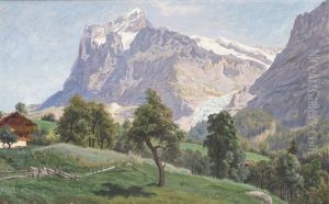 Motiv Fran Wetterhorn, Schweiz by Olof Arborelius