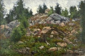 Skogslandskap Med Stenar Och Granar by Olof Arborelius