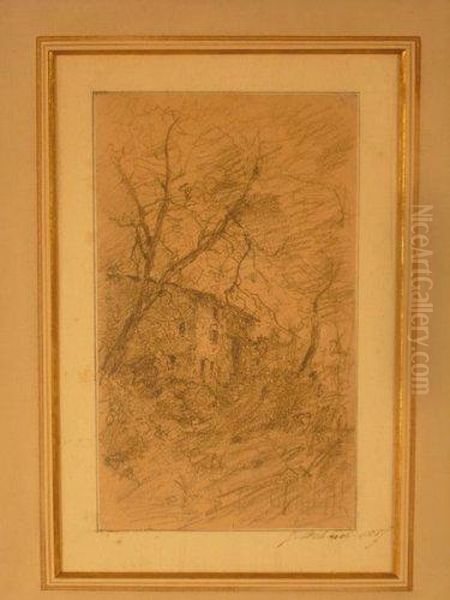 Maison Entouree D'arbres - view 1
