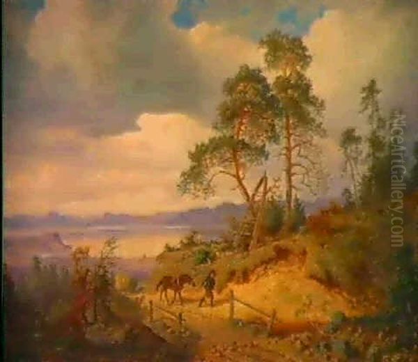 Skogslandskap - view 1