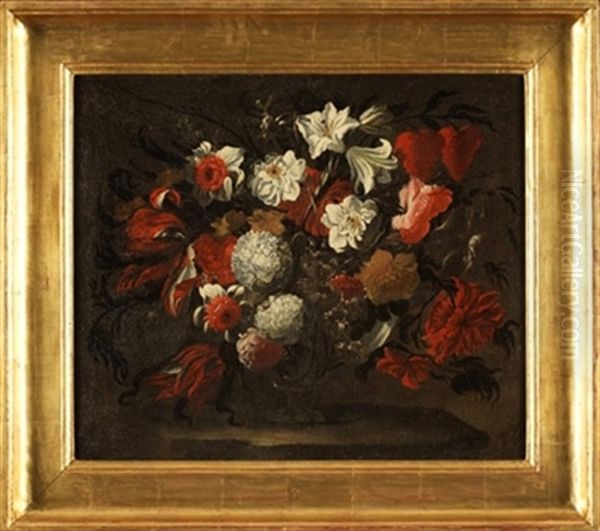 Acesta De Flores - view 1