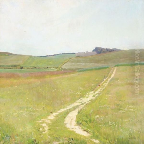 Markvej - view 1