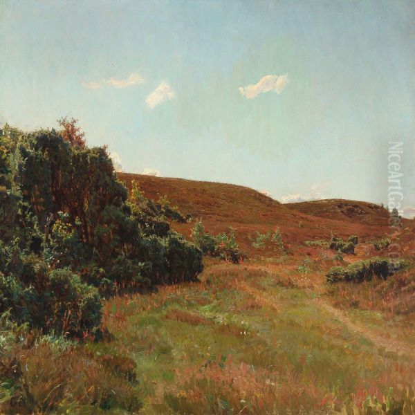 Moorlandscape With Blooming Heather - view 1