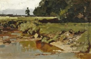 Im Chiemgauer Moor Im Chiemgauer Moor