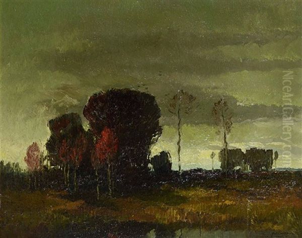 Abendliche Landschaft Mit Baumgruppe - view 1