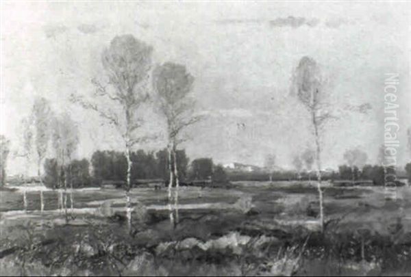 Im Amper Moor - view 1