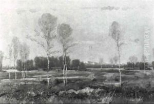 Im Amper Moor