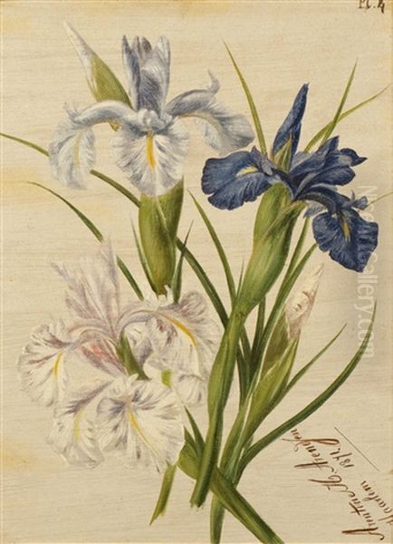 Still Life With Irisses - view 1