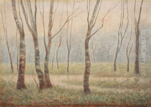 Sunrise Over The Forest - view 1
