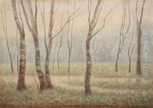 Sunrise Over The Forest by Constantin Aricescu