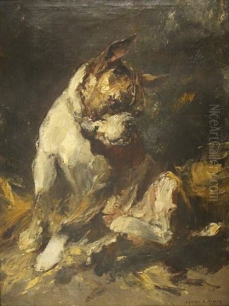 Bouledogue - view 1