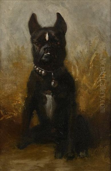 Bouledogue Francais Assis - view 1