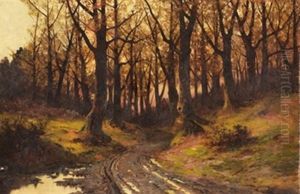 Bosque En Otono by Jose Armet Portanel