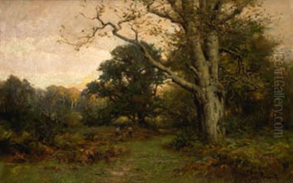 Paisaje - view 1