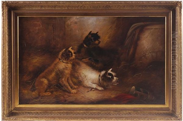Three Terriers - view 1
