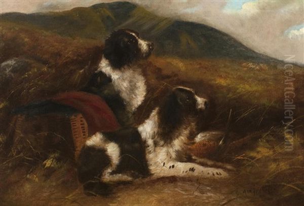 Springer Spaniels In A Moor With Game - view 1