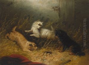Three Terriers Guarding A Hole by Edward Armfield