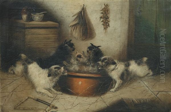 Terriers At Feeding Time - view 1