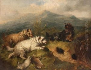 Terriers Rabbiting In A Highland Landscape by Edward Armfield