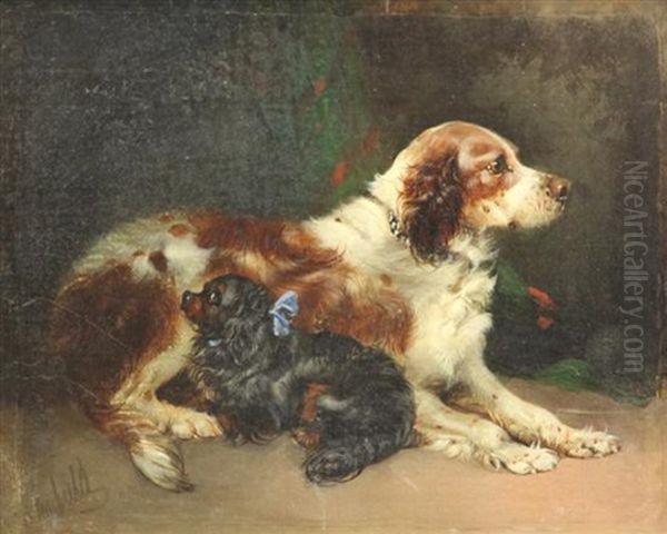 Portrait Of Two Spaniels, Friendly Companions - view 1