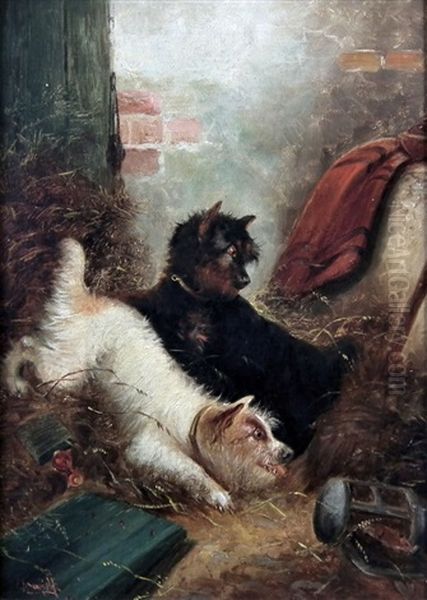 Terriers In A Barn - view 1