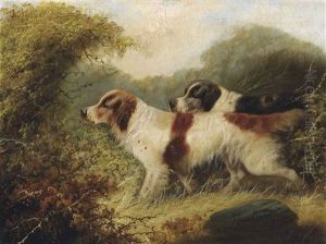 Two Setters by Edward Armfield
