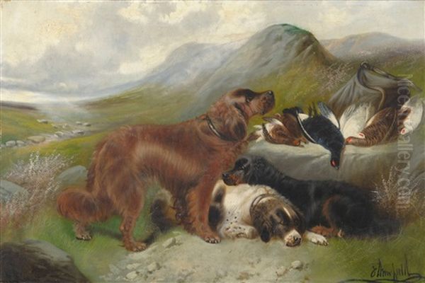 Sporting Dogs In A Highland Landscape - view 1
