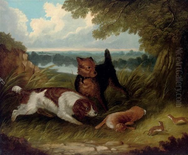 Rabbiting - view 1