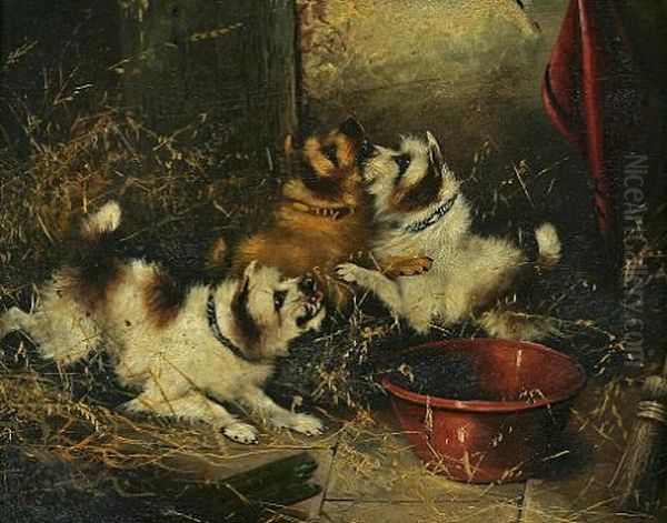 Terriers Ratting (pair) - view 1