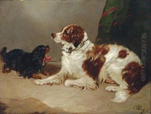 A Spaniel And A King Charles At Play by Edward Armfield