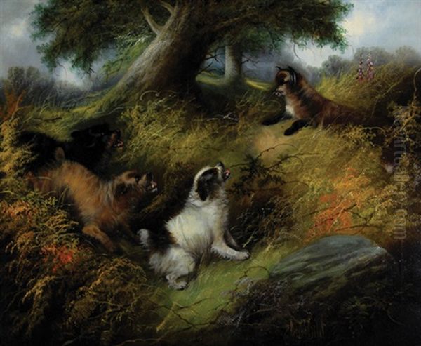 Three-to-one On The Fox - view 1