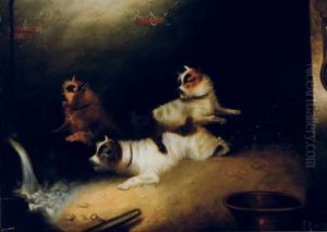 Terriers Alert