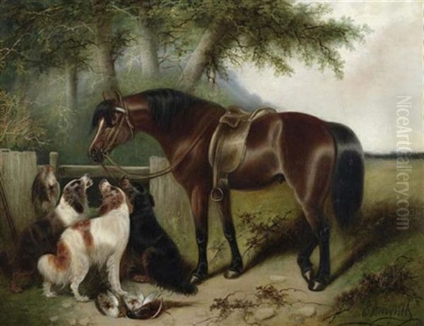 Pferd Und Hunde - view 1