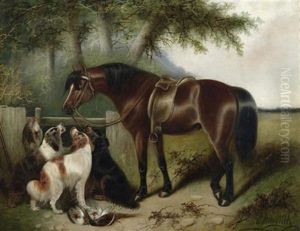 Pferd Und Hunde Pferd Und Hunde