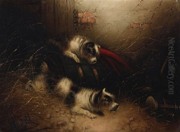 Terriers Ratting - view 1
