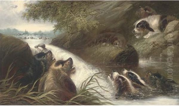 The Cornered Otter - view 1