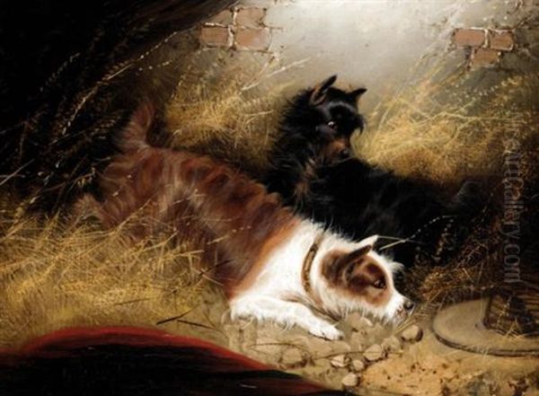 Terriers Ratting (+ Another; Pair) - view 1