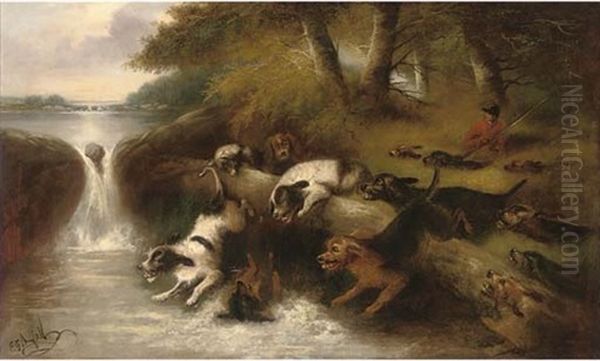 Otter Hounds - view 1